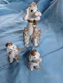 cagnolina con cuccioli 