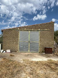 Terreno agricolo con fabbricati e ulivi