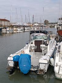 Chris Craft Sea Hawk 216 wa