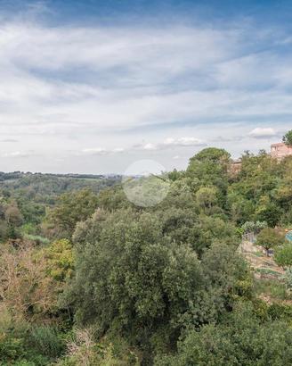 2 LOCALI A ROMA