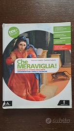 Libro di Arte " Che meraviglia " volume unico