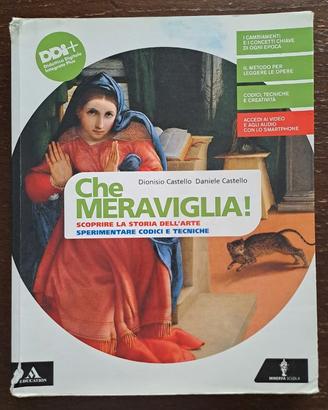 Libro di Arte " Che meraviglia " volume unico