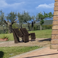 Sedie a dondolo in rattan intrecciato naturale