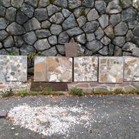 piastrelle per giardino e per casa