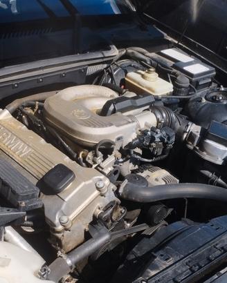 Motore BMW 316i E36 164E2