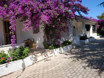 Casa vacanze a Vieste estate 2026