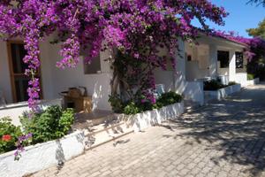 Casa vacanze a Vieste estate 2026