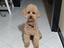 Immagine 1