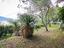 Immagine 18