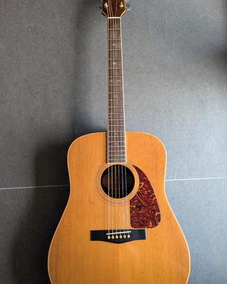 Fender F-260S (1984) Chitarra Acustica Japan