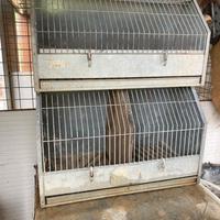 Gabbia trasporto cani