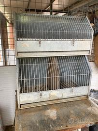 Gabbia trasporto cani