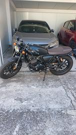 Archive 250 cc