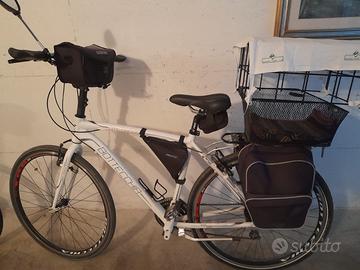 Bicicletta Bottecchia da uomo