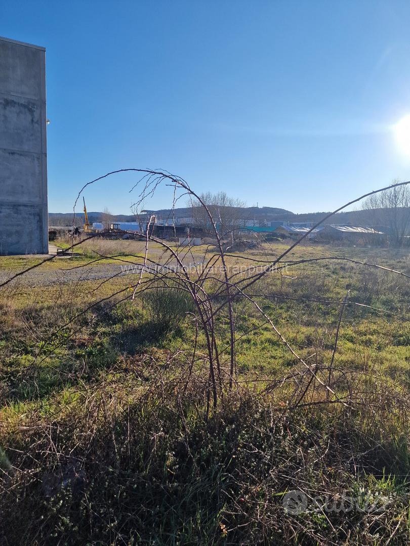 TE1 - Rapolano terreno edificabile di 3230 - Vista 4