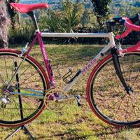 Bici da rulli in acciaio. 