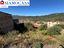 Immagine 17