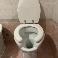 Coppia sanitari per disabili