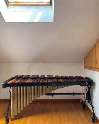 Marimba Adams MSHA43  Solist 4 e 1/3 ottave
