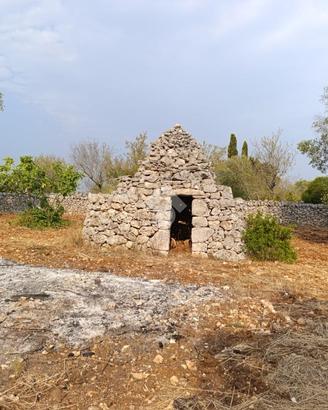 RUSTICO A CEGLIE MESSAPICA