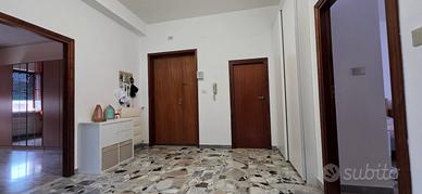 Ampio appartamento - Ripalimosani