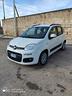 fiat-panda