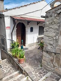 Casa singola + cantina abitabile