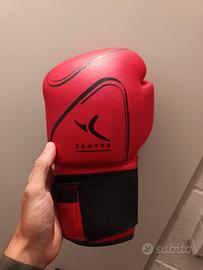 Guantoni da boxe 