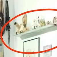 Mensole vetro satinato