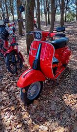 Piaggio Vespa 50 Special (V5B3) - 1980