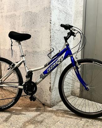 Bicicletta da donna con pneumatici da 26 pollici
