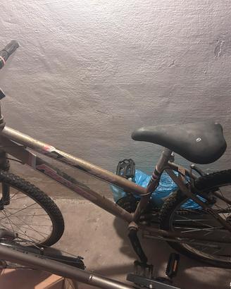 Bicicletta usata
