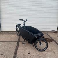Cargo Bici Urban Arrow Performance line 500