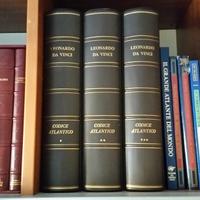 Leonardo da Vinci "Codice Atlantico"