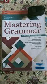 mastering grammar 