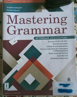 mastering grammar 