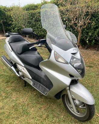 Silver Wing