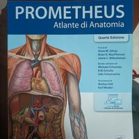 atlante di anatomia prometheus