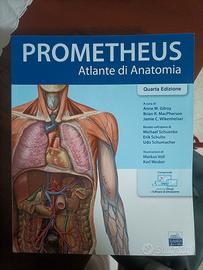 atlante di anatomia prometheus