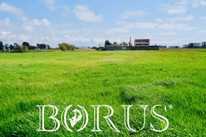 Terreno edificabile - Villa Literno