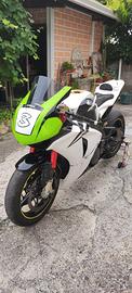 CBR 1000 pista