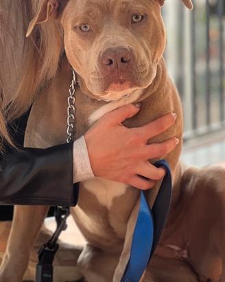 Cucciolata in arrivo