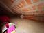 Immagine 26
