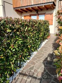 Bilocale con giardino e posto auto