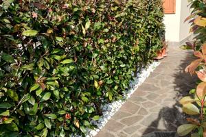 Bilocale con giardino e posto auto