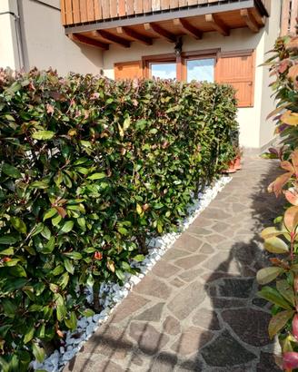 Bilocale con giardino e posto auto