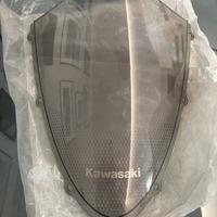 Cupolino originale Ninja 636