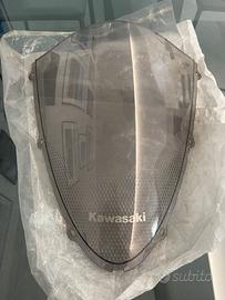 Cupolino originale Ninja 636