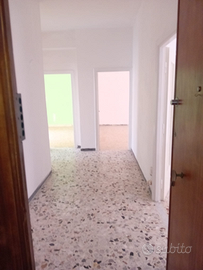 Civitavecchia v.le matteotti