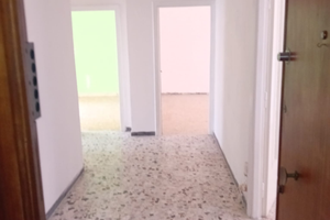 Civitavecchia v.le matteotti